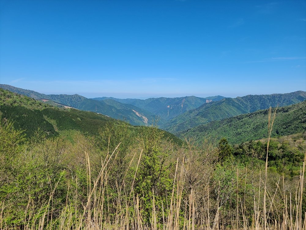 🌸 모란과 초록의 언덕 (보탄토 미도리노오카) 이미지 6
